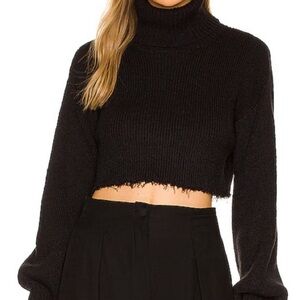 L’academie ~ Cropped Turtleneck Sweater